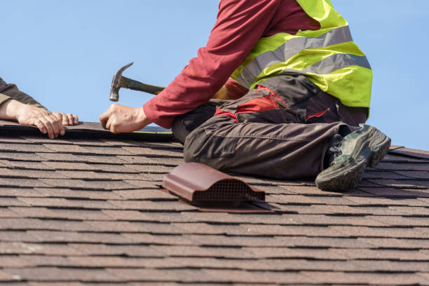 Best Roof Gutter Cleaning  in Christmas, FL